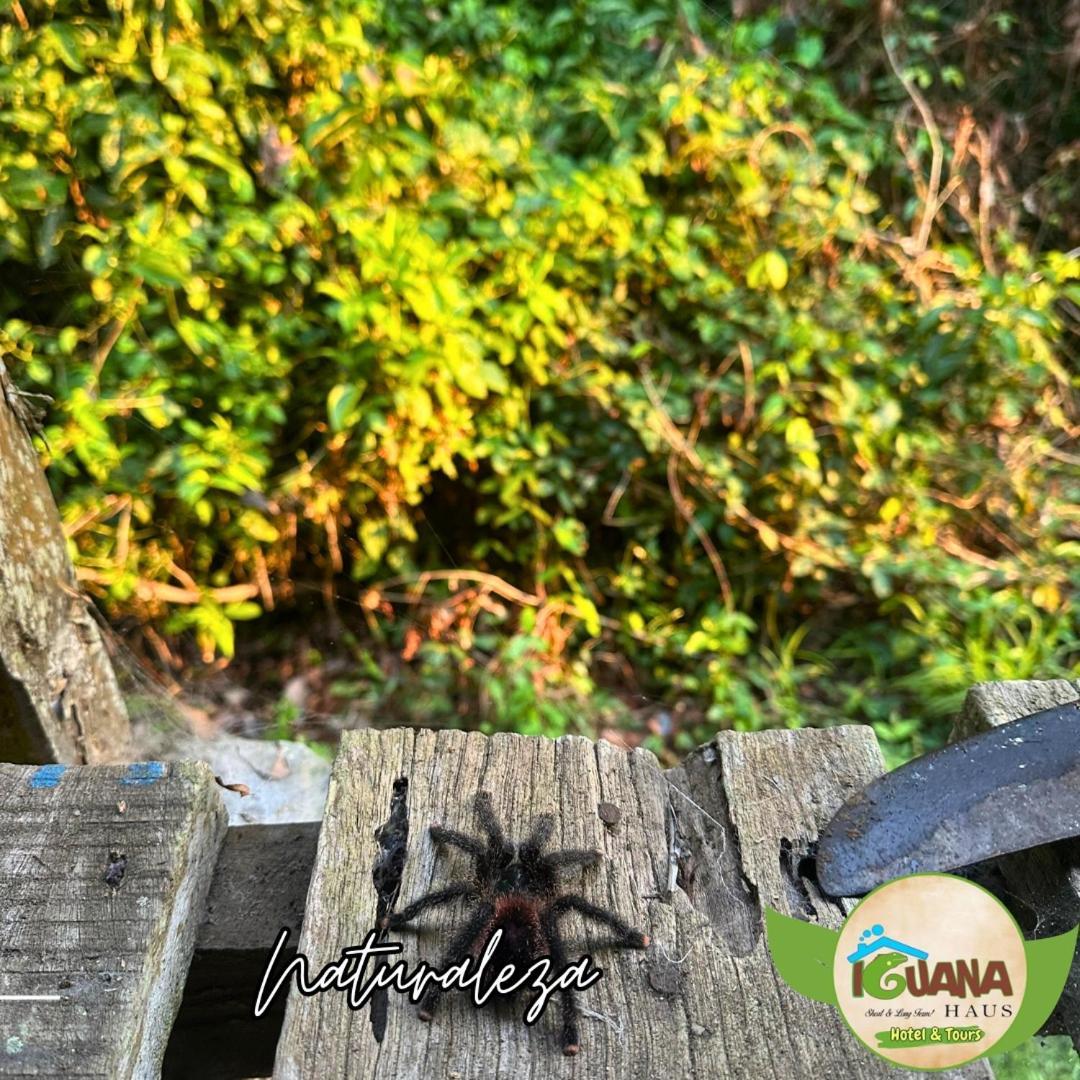 Iguana Haus Iquitos Apartment Exterior photo